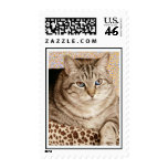 Aal postage