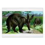Aardvark Card