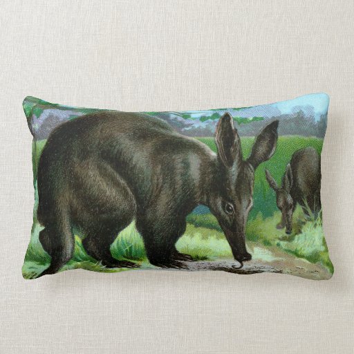 Aardvark Eating Ants Pillows