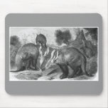 Aardvark - Orycteropus afer Mouse Mats