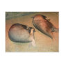 Aardvarks Postcard