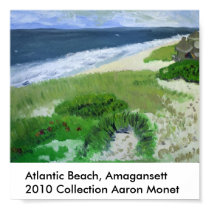 aaron 1, Atlantic Beach, Amagansett2010 Collect... posters