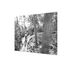 Aaron Rodgers mountain biking on the Stairway to Canvas Prints