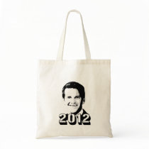 Aaron Schock 2012 bags