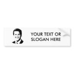 Aaron Schock Bumper Stickers