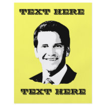 Aaron Schock flyers by Politicaltshirts Aaron Schock flyers