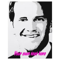 Aaron Schock flyers by Politicaltshirts Aaron Schock flyers