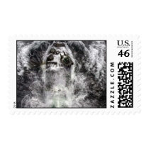 AAV SPLASH 2 postage