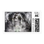 AAV SPLASH 2 postage