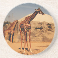AB- Cute Giraffe Coasters coaster