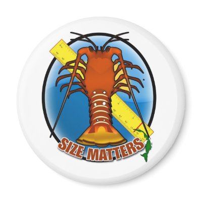Abaco Island - Magnet by rareplanet