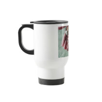 ABACO SEASHELLS TRAVEL CUP MUGS