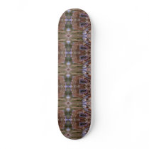 Abalone Brown design on Skateboard