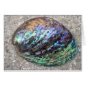 Abalone Card