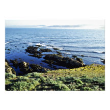 Abalone Fishing At Tomales Point Custom Invites