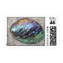 Abalone Shell postage