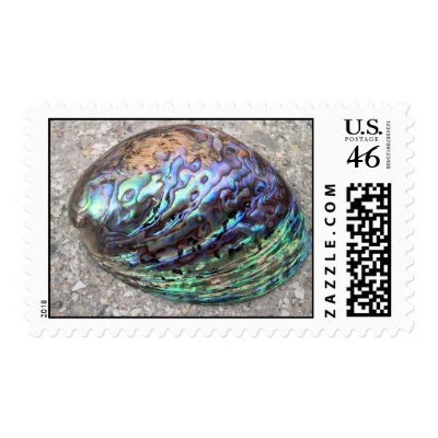 Abalone Shell Stamps by FloridaSiren