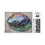 Abalone Shell Stamps