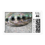 Abalone Shell Two Postage Stamps