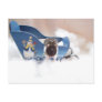 abandon sled!! postcard