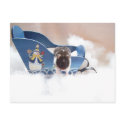 abandon sled!! postcards by KatAnnette abandon sled!! postcards
