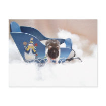 abandon sled!! postcards by KatAnnette abandon sled!! postcards