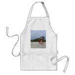 Abandoned Beach Aprons