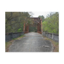 Abandoned Bridge at Suwannee Springs Postcard