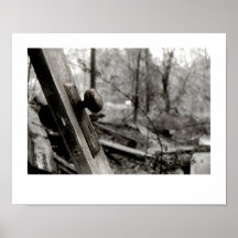 Abandoned Door in the Woods Poster