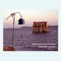 Abandoned Fishing Shack Postcard postcards