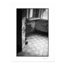 ABANDONED GUMBOOTS Poster posters