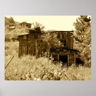 Abandoned Homestead in Arizona print