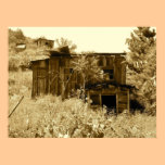 Abandoned Homestead in Arizona posters