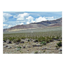 Abandoned House On Desert Floor Invites
