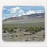 Abandoned House On Desert Floor Mousepad