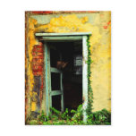Abandoned - old door and abandoned house postcards