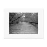 Abandoned Suwannee Springs Bridge Post Cards