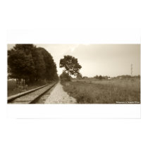 Abandoned Train Tracks posters