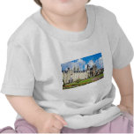 Abbaye Aux Hommes, Caen, Calvados, Normandy, Franc Tees