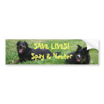 Abbey and Roxy say: SAVE LIVES! Spay & Neuter bumper stickers by roxysmama Abbey and Roxy say: SAVE LIVES! Spay & Neuter bumper stickers