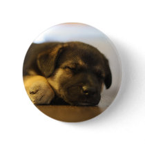 Abbilicioius buttons