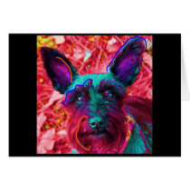 Abby Greeting Cards