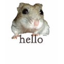 abby hello t-shirts by ppprincess1 abby hello t-shirts