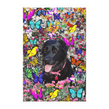 Abby in Butterflies - Black Lab Dog Stretched Canvas Prints