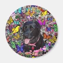 Abby in Butterflies - Black Lab Dog Refrigerator Magnet