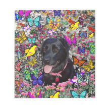 Abby in Butterflies - Black Lab Dog Notepads