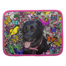 Abby in Butterflies - Black Lab Dog Organizers