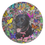 Abby in Butterflies - Black Lab Dog Plates