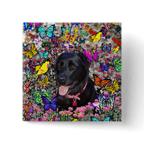 Abby in Butterflies – Black Lab in Butterflies Buttons