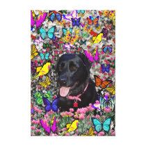 Abby in Butterflies – Black Lab in Butterflies Stretched Canvas Prints